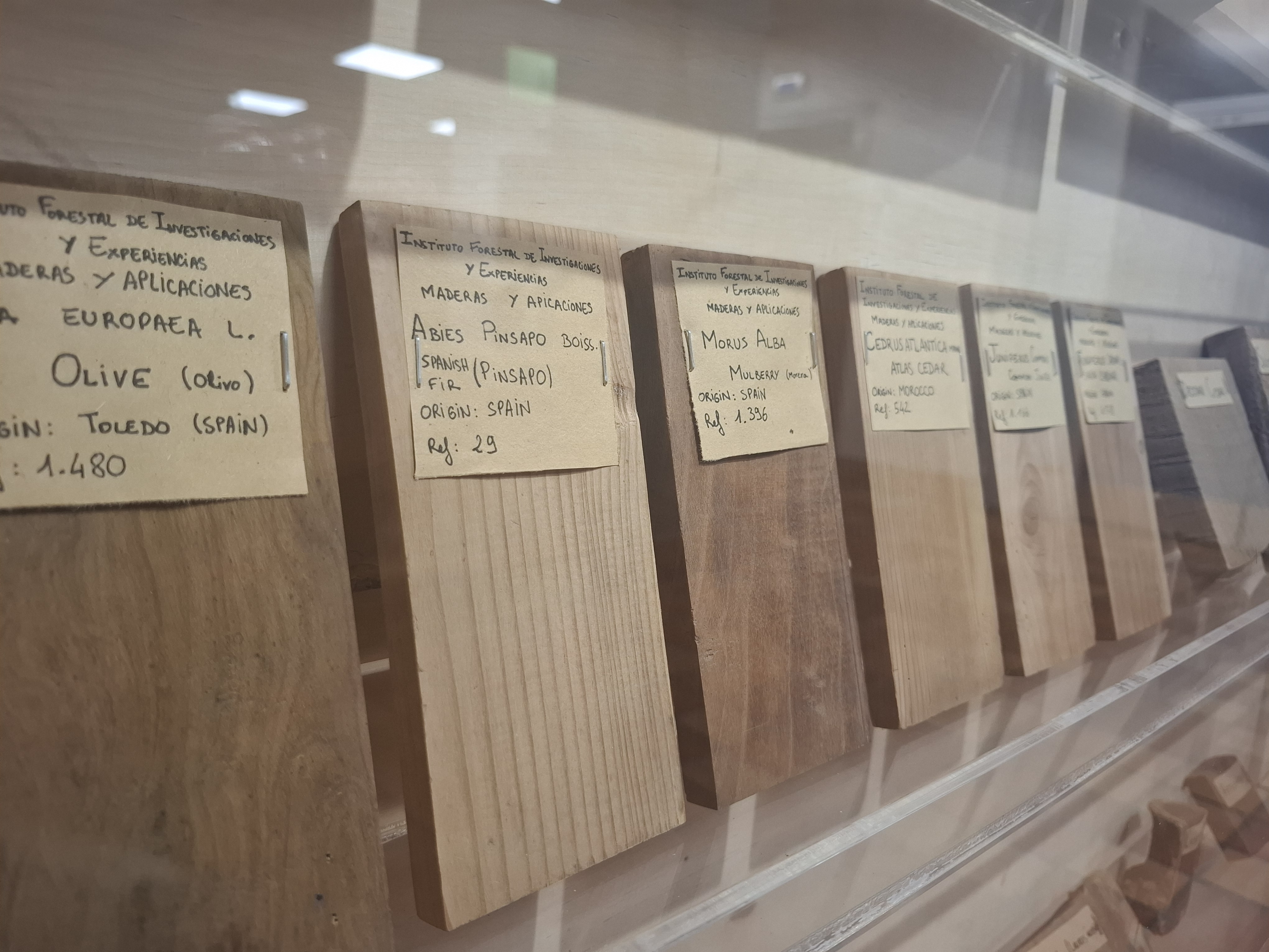 labelled samples of timber on display
